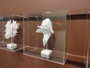 IMG_20240423_122731
